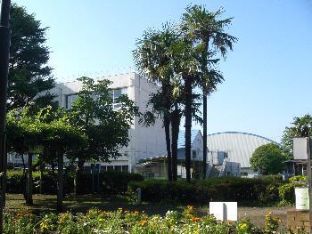 狛江市立狛江第三小学校