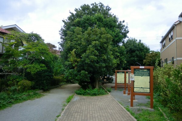 岩戸川南公園