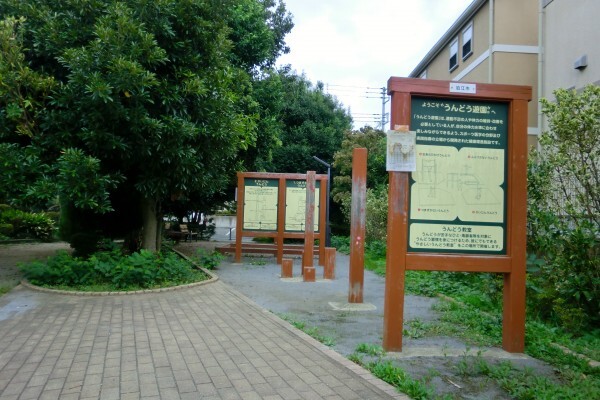 岩戸川南公園風景