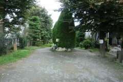 野川緑地公園